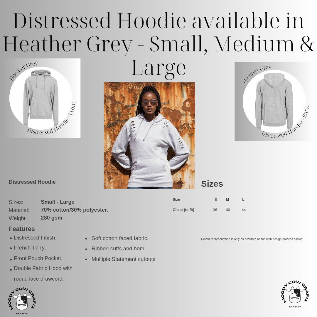 Custom Design - Distressed Hoodie - The Circus - Summer 2026