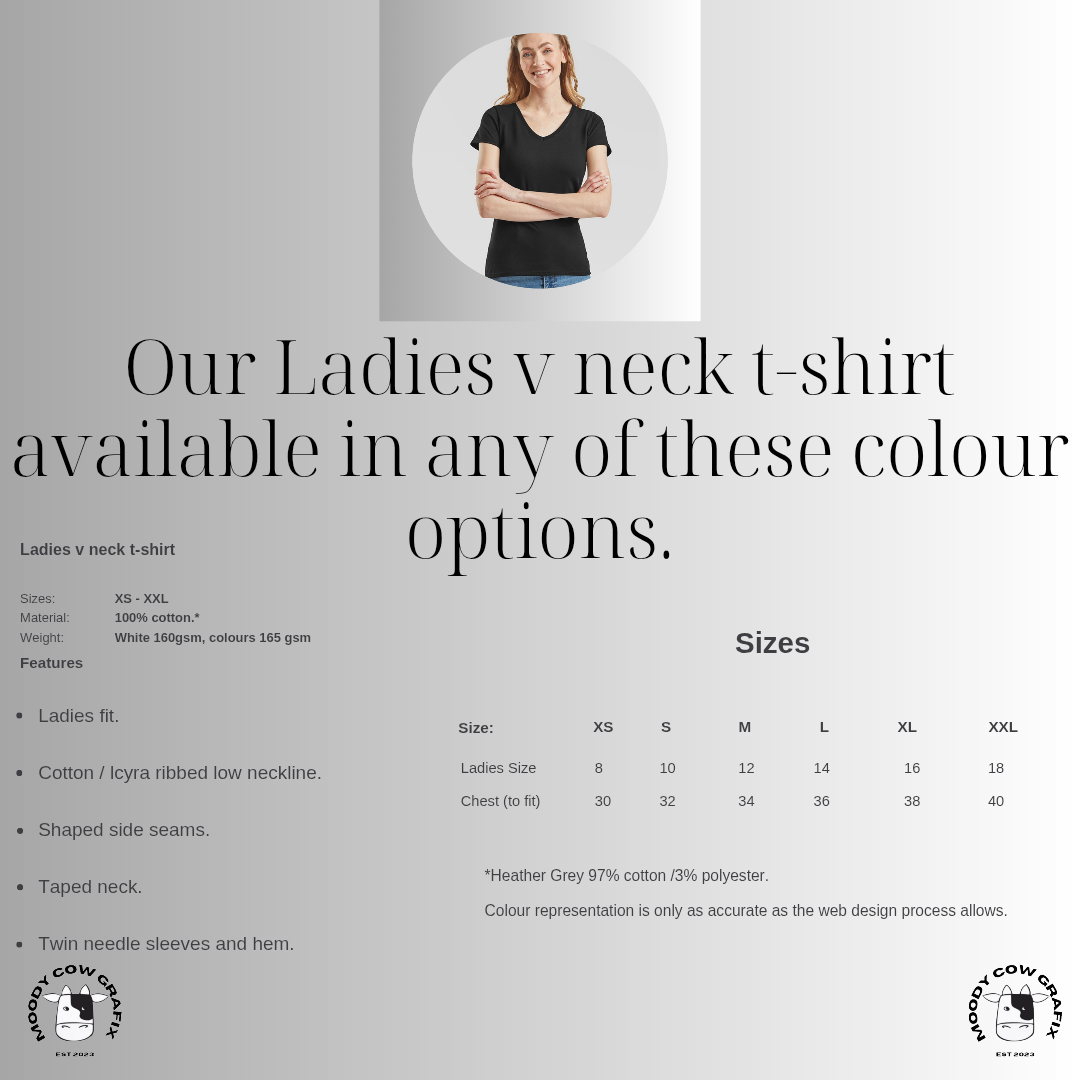 Custom Design -Ladies V neck T-Shirt(FRUIT OF THE LOOM Brand) - The Circus - Summer 2026