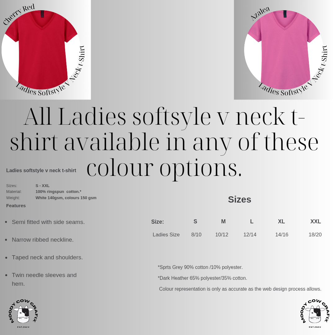 Custom Design - Ladies Softstyle V Neck T-Shirt (GILDAN Brand) - The Circus - Summer 2026.