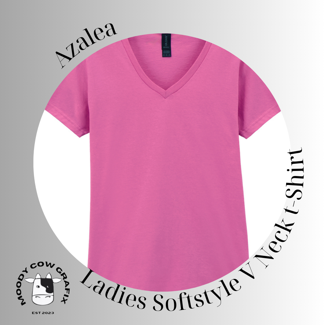 Custom Design - Ladies Softstyle V Neck T-Shirt (GILDAN Brand) - The Circus - Summer 2026.