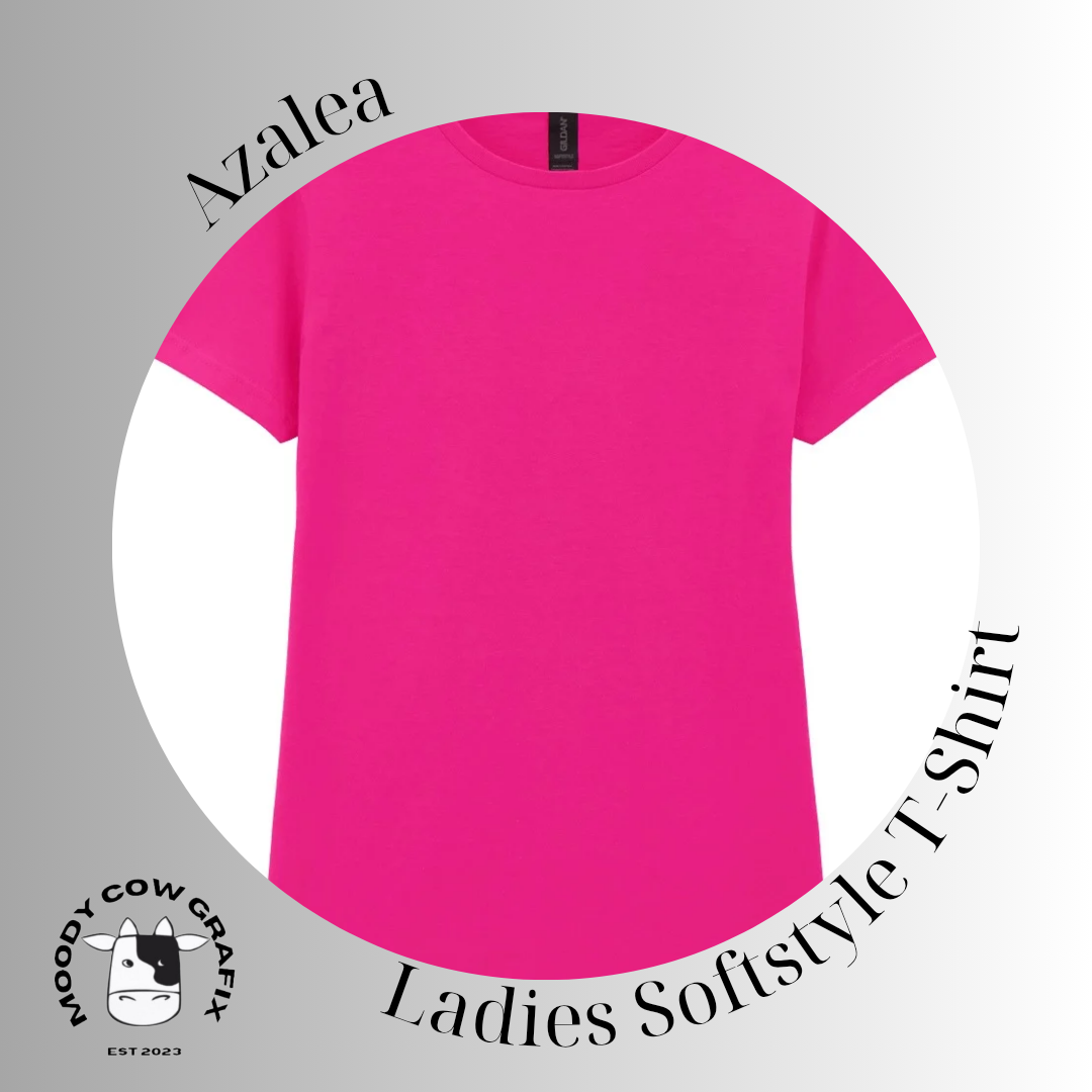 Custom Design - Ladies Softstyle T-Shirt (GILDAN Brand) - The Circus - Summer 2026.