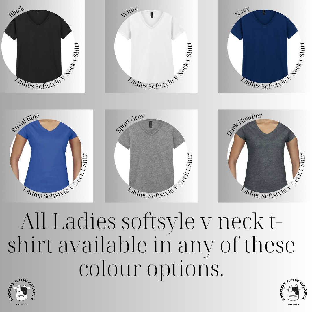 Custom Design - Ladies Softstyle V Neck T-Shirt (GILDAN Brand) - The Circus - Summer 2026.